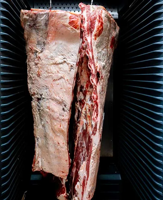 carne maturata de angus